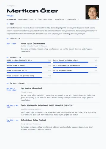 Dalgıç CV Örnekleri cv indir